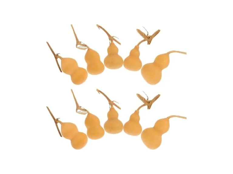 Garneck 10 Pcs Small Dried Gourds