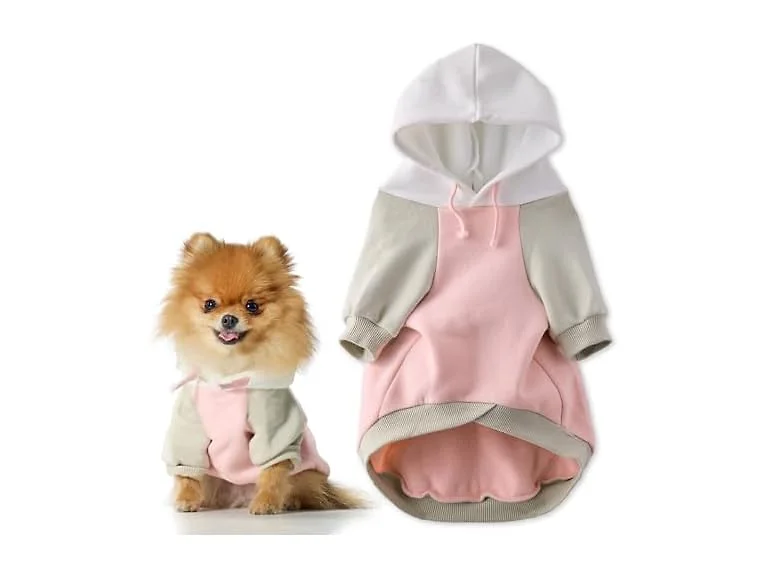 Pet Passion Rocky II Dog Hoodie, Pink Color Block, XXS