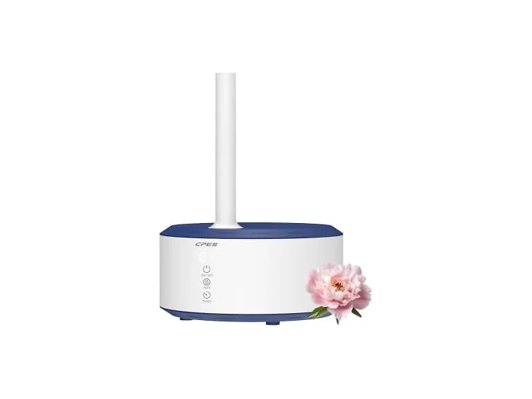 CPES C10 4.2L Humidifier for Bedroom