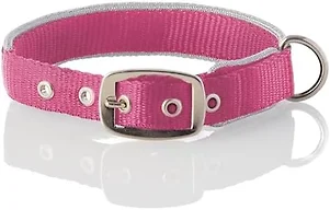 Pet Passion Pet Passion Adjustable Silver Trimmed Do