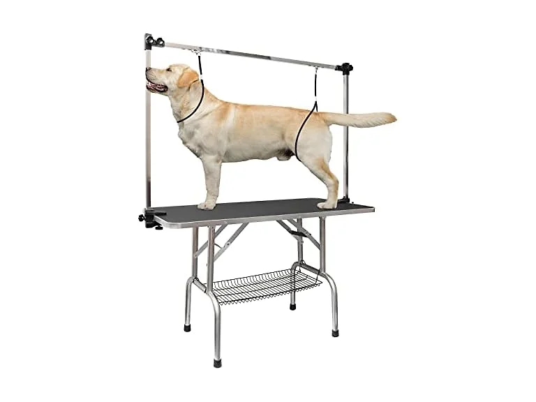 LOVMOR 46 Inch Dog Grooming Table