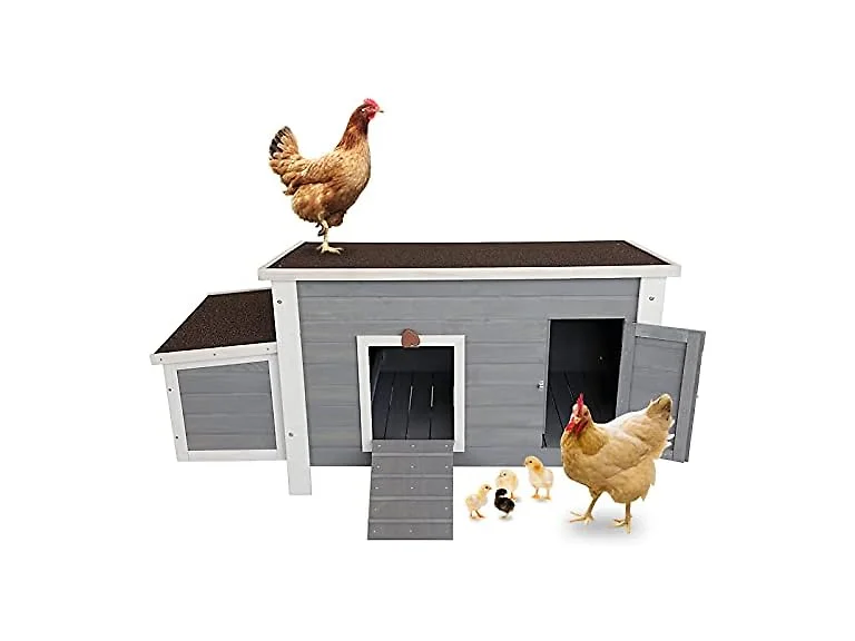 Petsfit Outdoor Chicken Coop with Run for 4-6