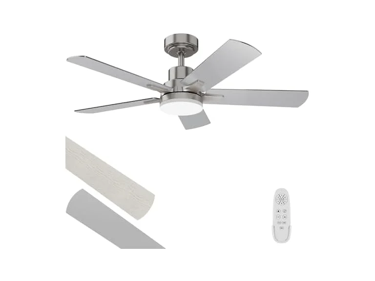 Regair Ceiling Fan