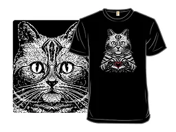 American Shorthair True Affection