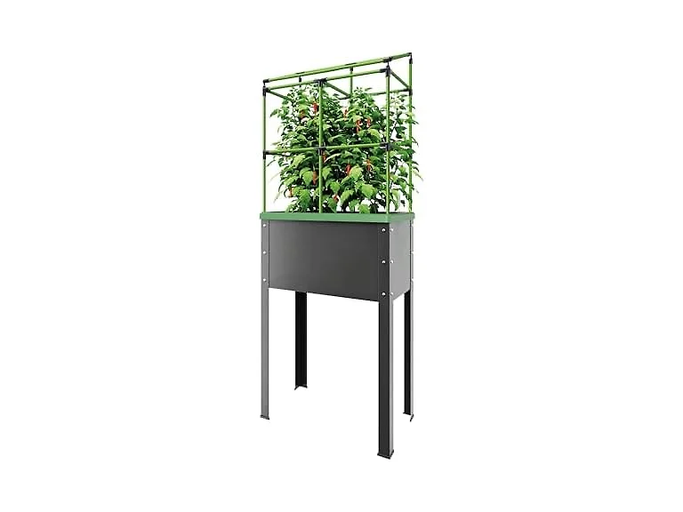 BioGreen Raised Garden Bed with Trellis