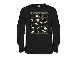 How To Identify A Bird