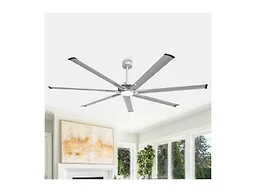Fan-tastic Ceiling Fans!