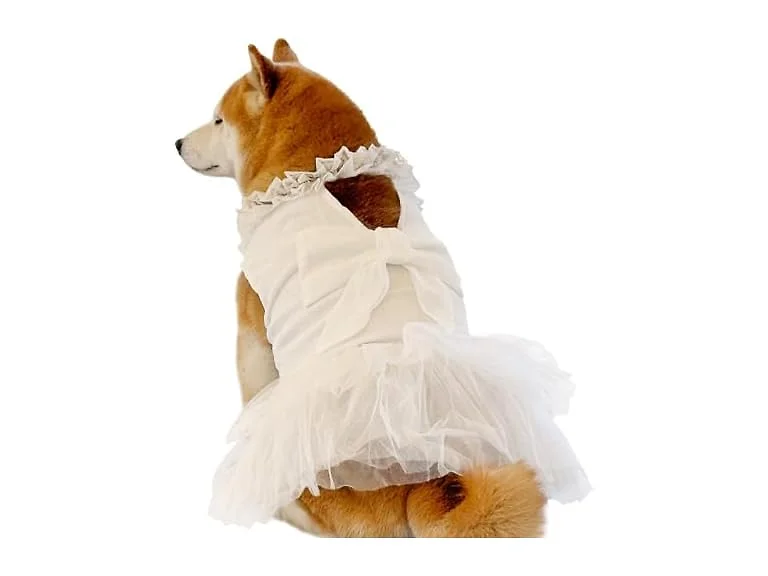 Formal Dog Dresses for Large Dogs White Dog