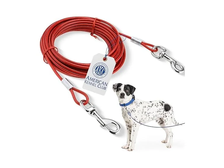 American Kennel Club Dog Tie Out Cable 20'
