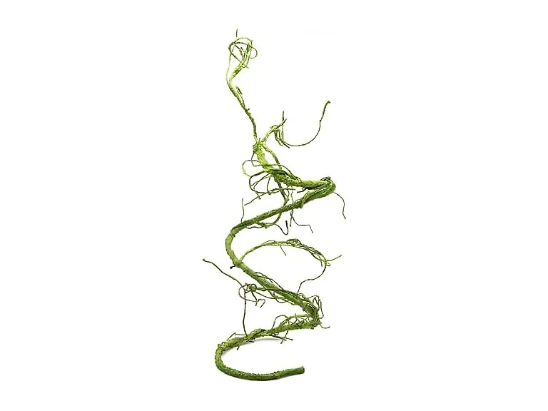 Pangea Reptile Ultimate Vine for Terrarium Ha