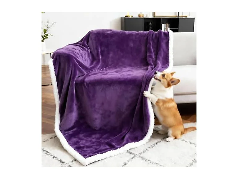 BoxZone Waterproof Dog Blanket for Couch – Double Sided