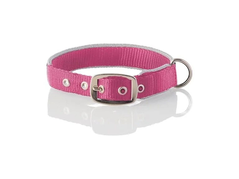 Pet Passion Adjustable Silver Trimmed Dog Col