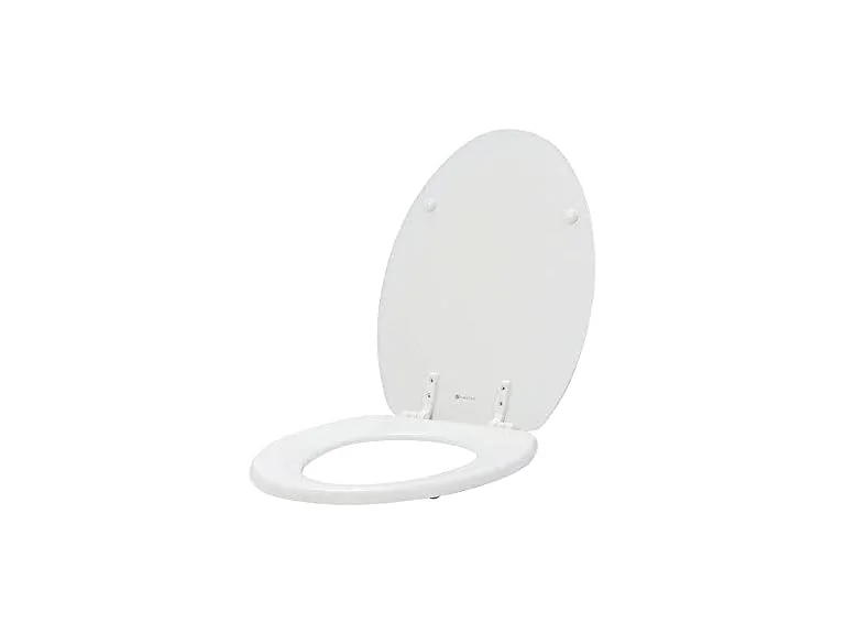 Glacier Bay Elongated Enameled Wood Closed Front Toilet Sea
