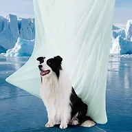 Bedsure Breathable Lightweight Cooling Blanket for Large Dogs,Q-MAX>0.4,XL