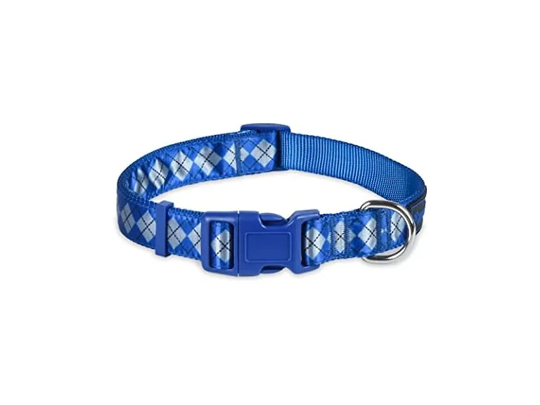 Harry Potter Ravenclaw Dog Collar - Adjustabl