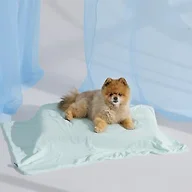Bedsure Breathable Lightweight Cooling Blanket for Small Dogs, Q-MAX>0.4