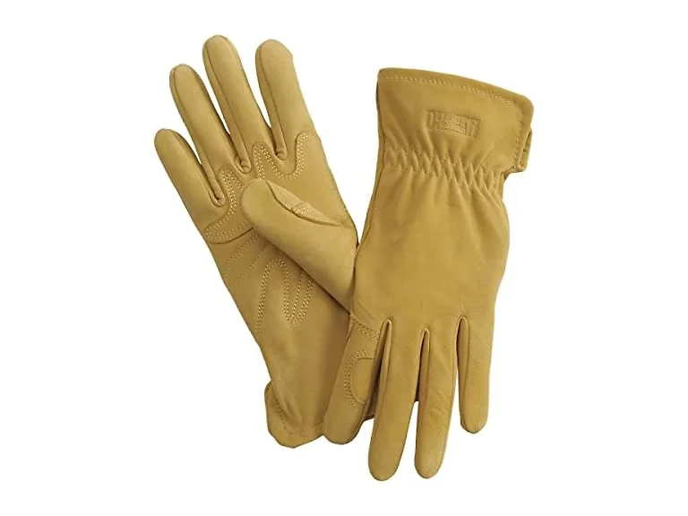 Leather Gloves, Goatskin, Women's Medium