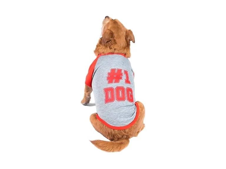 The Dodo #1 Dog T-Shirt for Dogs, Size Small