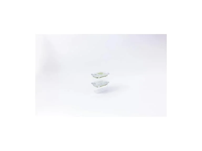 Latchlok  0.9 Cup Food Storage Containers, Set of 2 - Sage