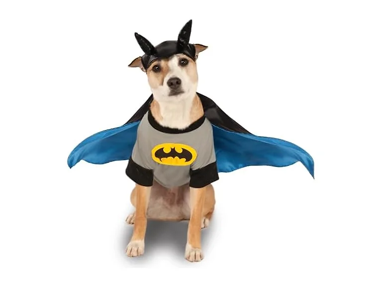 DC Comics Superheroes: Batman Pet Costume