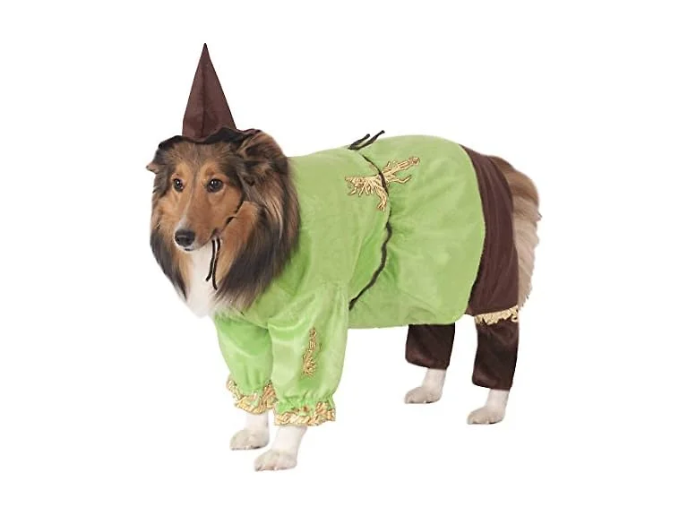 The Wizard of Oz: Scarecrow Pet Costume Small