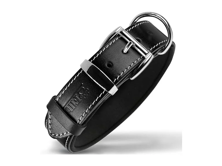 Filbert Leather Dog Collar, Genuine Leather