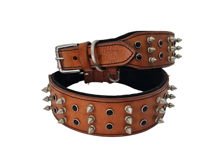BlazingPaws® Sabrington 2 In Wide Luxury Spi