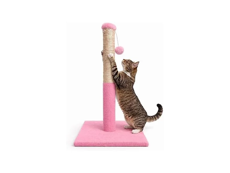 ASPCA Cat Scratching Post, Sisal Rope, Hanging Teaser Toy