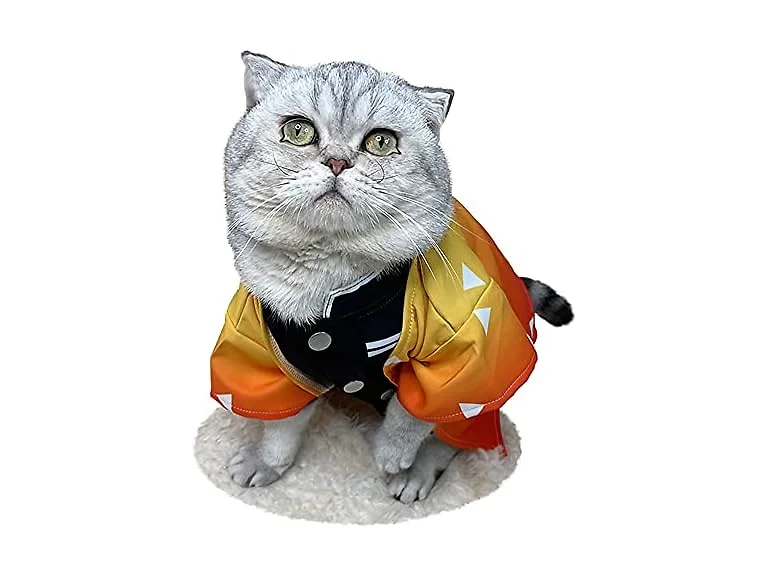 Cat Costume Anime Cat Clothes Cat Halloween