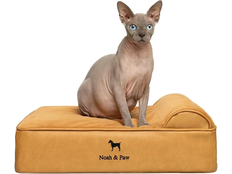NOAH & PAW Orthopedic Dog Beds- Small