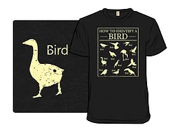 How To Identify A Bird