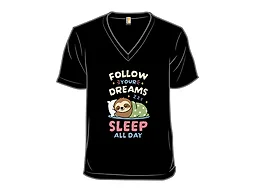 Follow Your Dreams, Sleep All Day