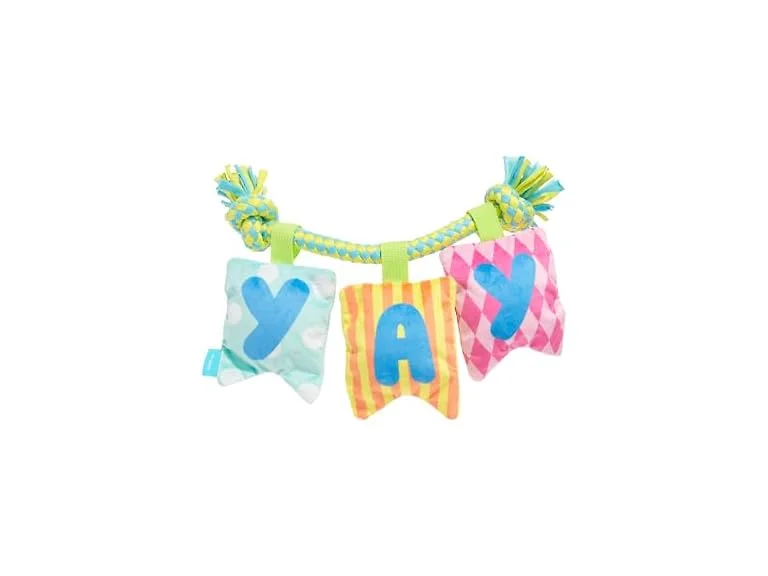 BarkBox Happy Yay Banner Dog Toy - Toy