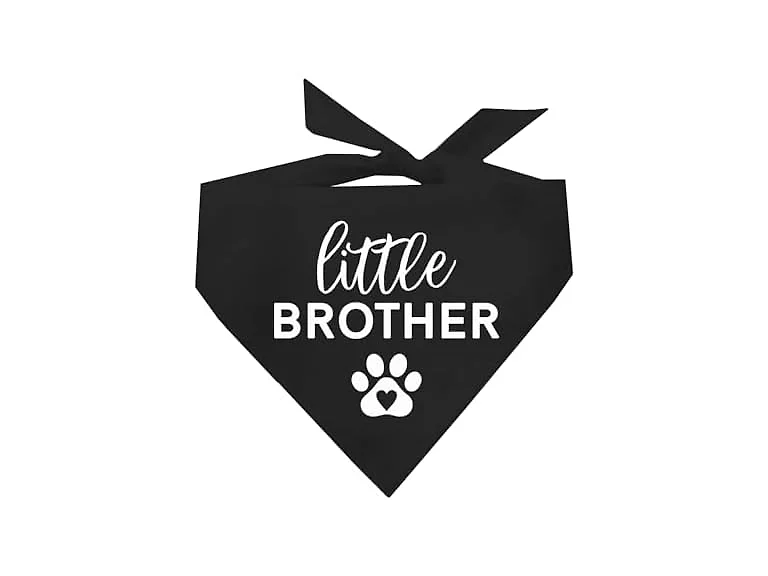 Little Brother Family Matching Dog Bandana (