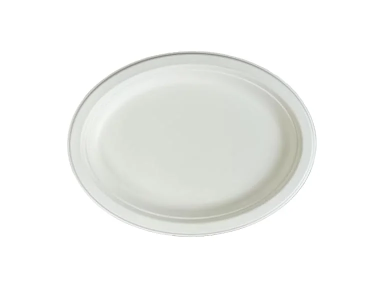 TLAPS 10x8 in White Bagasse Sugarcane Plates 125