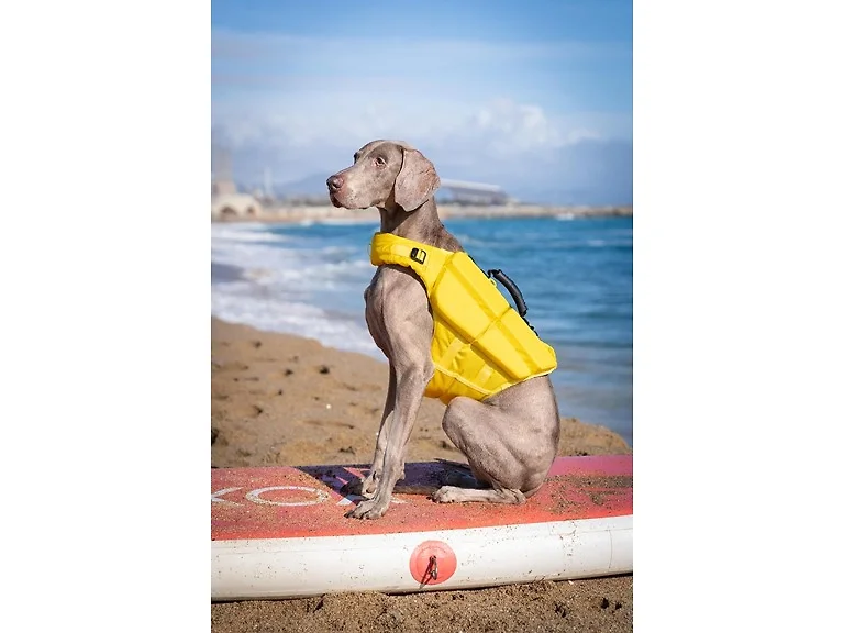 NOAH & PAW Dog Life Jacket- XLarge