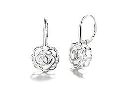 AAA IGT-DAAS-DEBS595 Sterling Silver Crystal Earrings Silver 