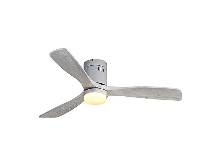 CACI Mall Ceiling Fans with Lights