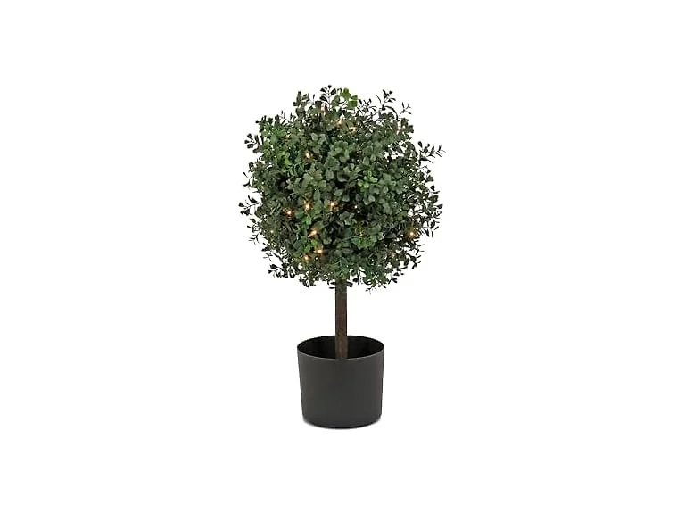 National Tree Company 2' Prelit Artificial Boxwood Single Ball Topiary