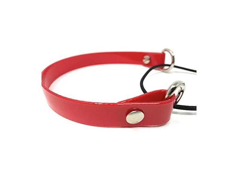 Sparky Pet Co ECollar Replacement Strap
