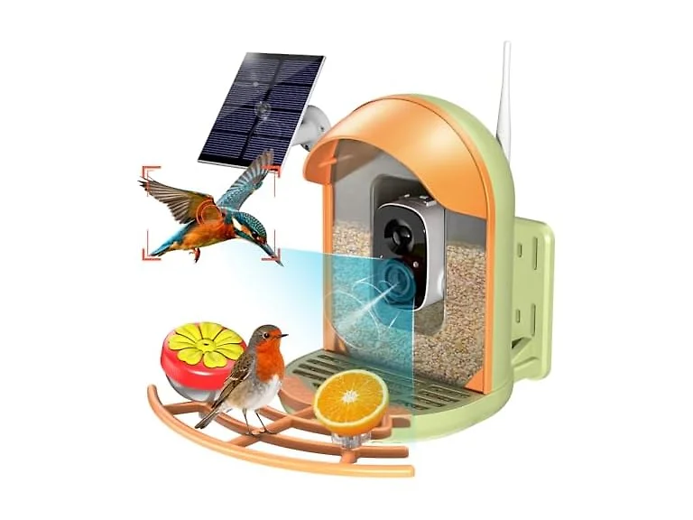 Solar Powered Bird Feeder with Camera