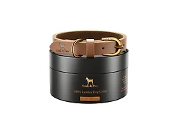 NOAH & PAW CR-LE-CA-L L NOAH & PAW XL Dog Collar Cam