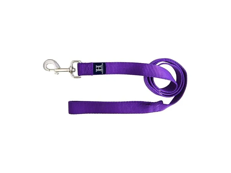 Hamilton 4 ft Nylon Dog Leash, Medium/Large 1" x 4', Purple