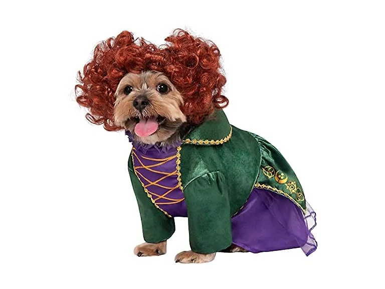 Rubies Rubies Disney Hocus Pocus: Winifred