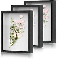 Shadow Box Frame 8x10 - 3 Pack Wood Deep Shadowbox with Glass
