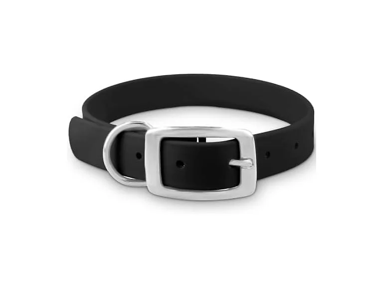 Regal Dog Products Waterproof Dog Collar, Vi