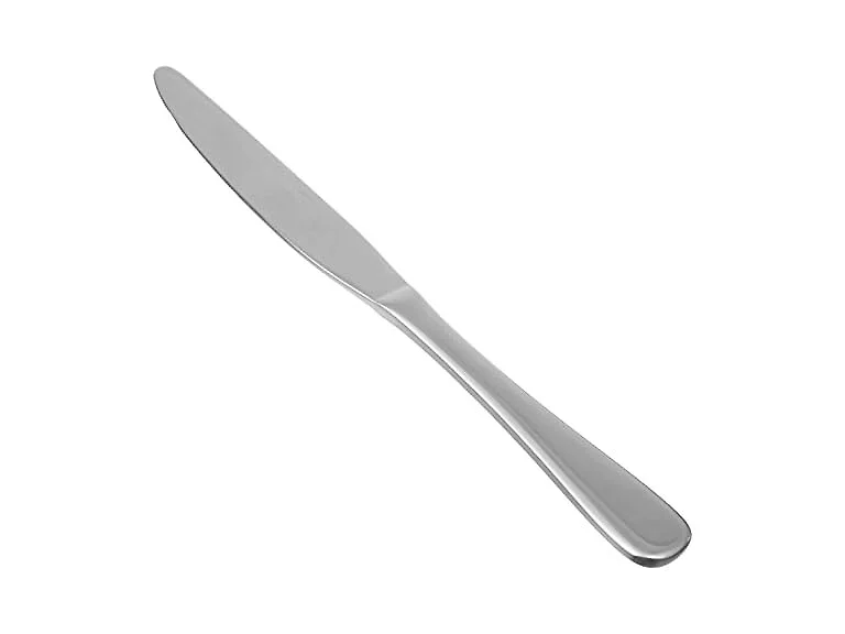 Amazon Basics Stainless Steel Dinner Knife