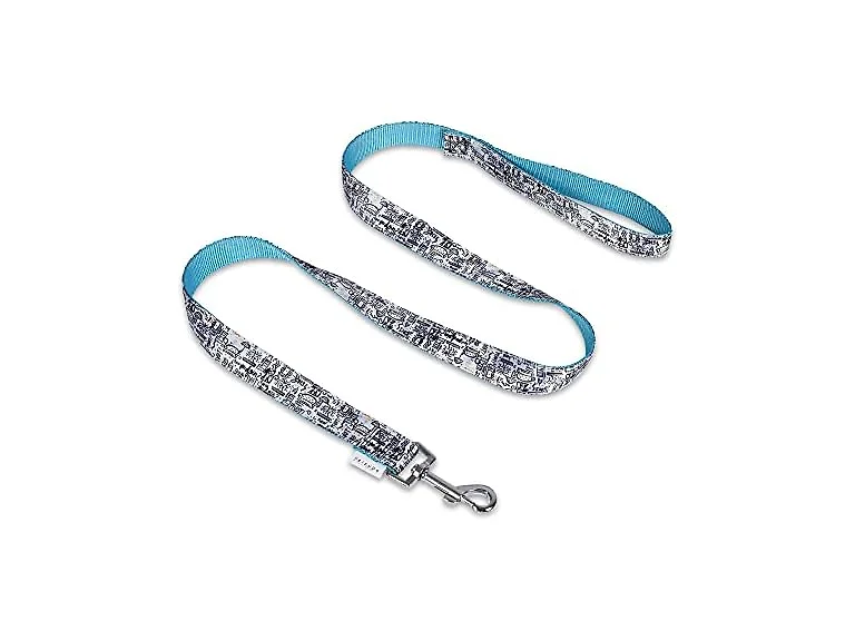Friends the TV Show City Doodle Dog Leash, 6 
