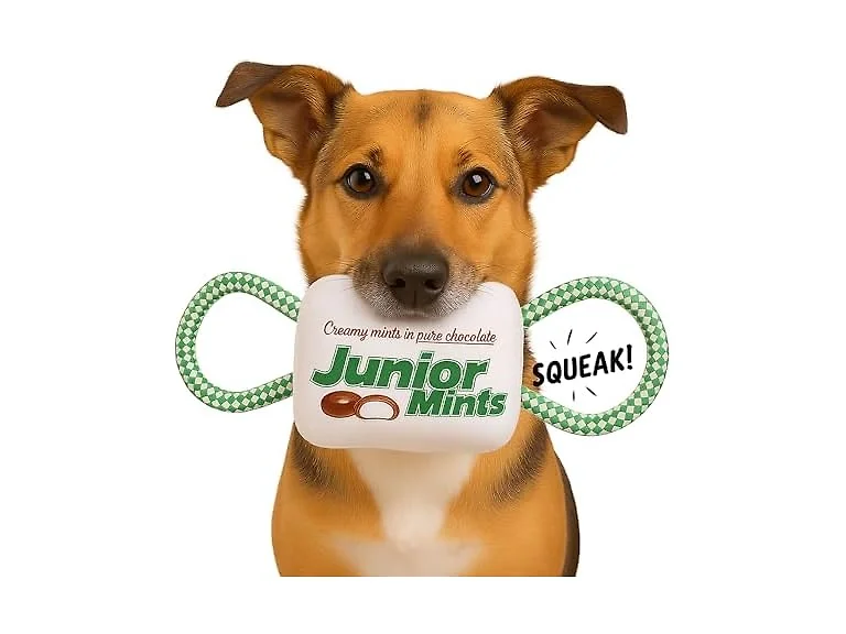 Tootsie Roll Junior Mints Plush Candy w Rope