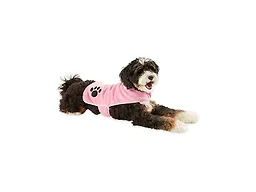 Bone Dry Bone Dry Pet Robe Collection, Embroidere